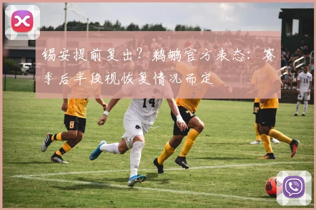 锡安提前复出？鹈鹕官方表态：赛季后半段视恢复情况而定